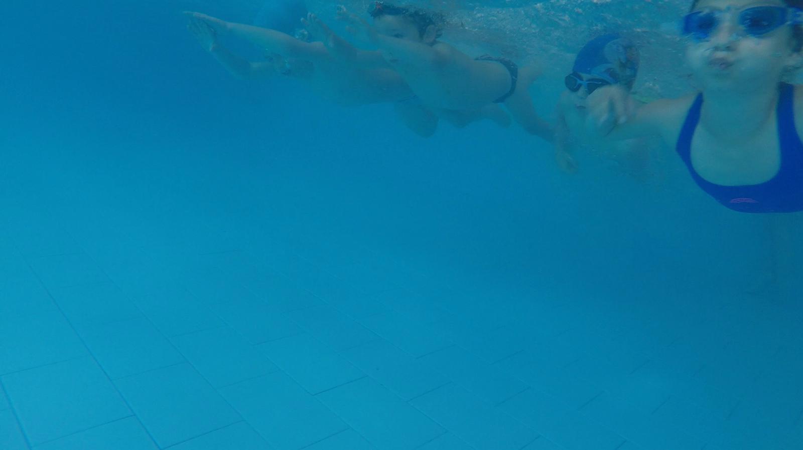 elezioni – AlpeNews, image size:1600x898